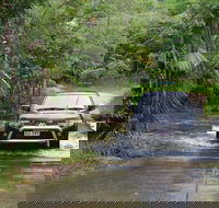 The Pioneer Valley and Eungella National Park - Broome Tourism