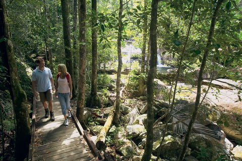 The Pioneer Valley And Eungella National Park - Broome Tourism 1