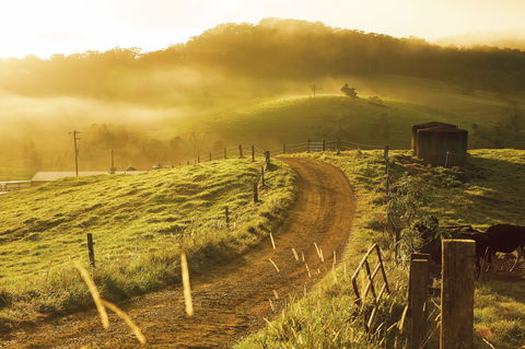 The Pioneer Valley And Eungella National Park - Broome Tourism 2