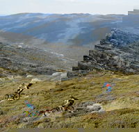 Thredbo Mountain Biking - Broome Tourism
