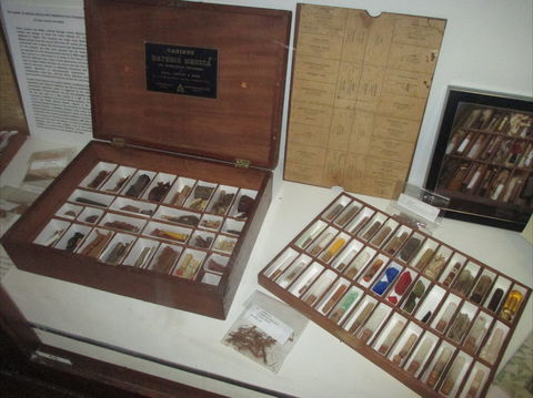 UQ Marks-Hirschfeld Museum Of Medical History - Broome Tourism 0