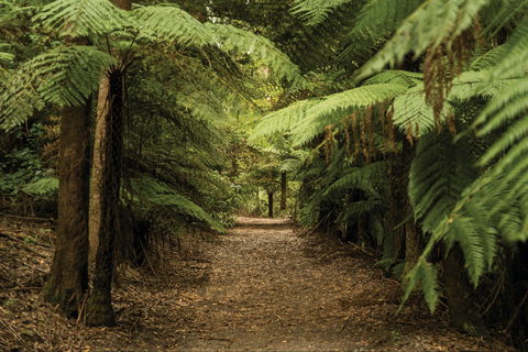 William Ricketts Sanctuary - Broome Tourism 2