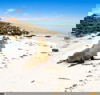 Abrolhos Islands - Broome Tourism