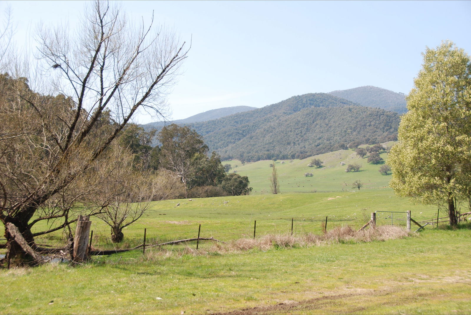 Dartmouth VIC Broome Tourism