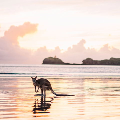 Cape Hillsborough – A Low Tide Fishing Adventure - Broome Tourism 0