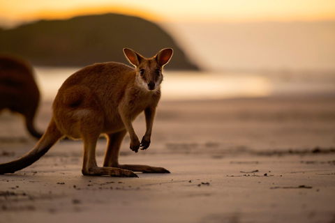 Cape Hillsborough – A Low Tide Fishing Adventure - Broome Tourism 1