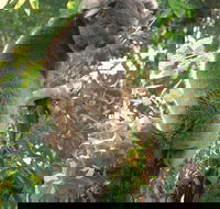 Caversham Wildlife Park - Broome Tourism