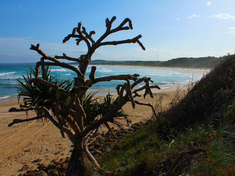 Clay Head - Broome Tourism 2