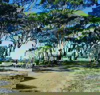 Dumbleyung - Broome Tourism