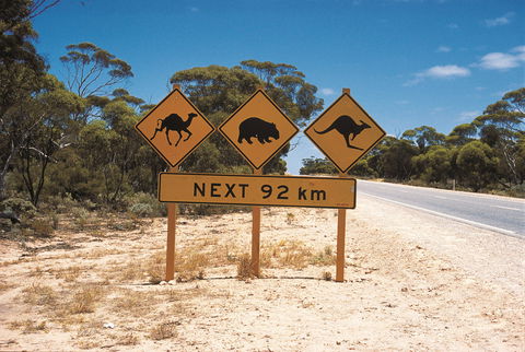 Eyre Highway - Broome Tourism 1