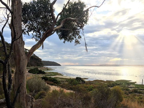 Fish Cannery Walking Trail - Broome Tourism 0