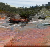 FR Berry Reserve - Broome Tourism