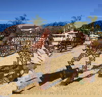 Gundersen Reserve - Broome Tourism
