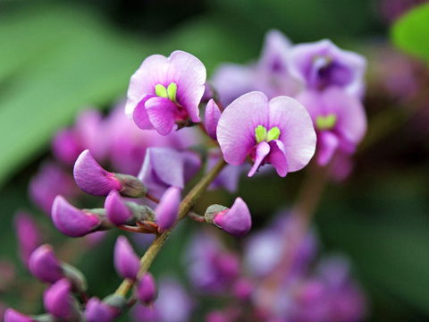 Inverawe Native Gardens - Broome Tourism 2