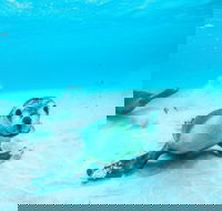 Jurien Bay - Broome Tourism