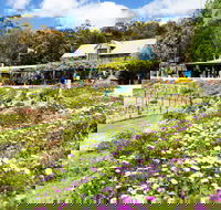 Kate's Berry Farm - Broome Tourism
