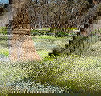 Leaghur State Park - Broome Tourism