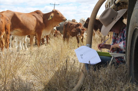 Longreach School Of Distance Education - Broome Tourism 2