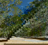 Maidens Tuart Forest - Broome Tourism