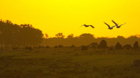 Mary River - Broome Tourism 0