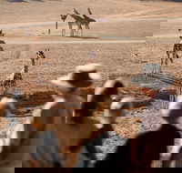 Monarto Safari Park - Broome Tourism