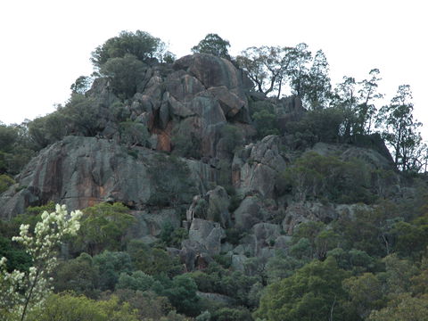 Mount Yarrowyck Nature Reserve - Broome Tourism 0