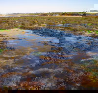 Point Danger Marine Sanctuary - Broome Tourism