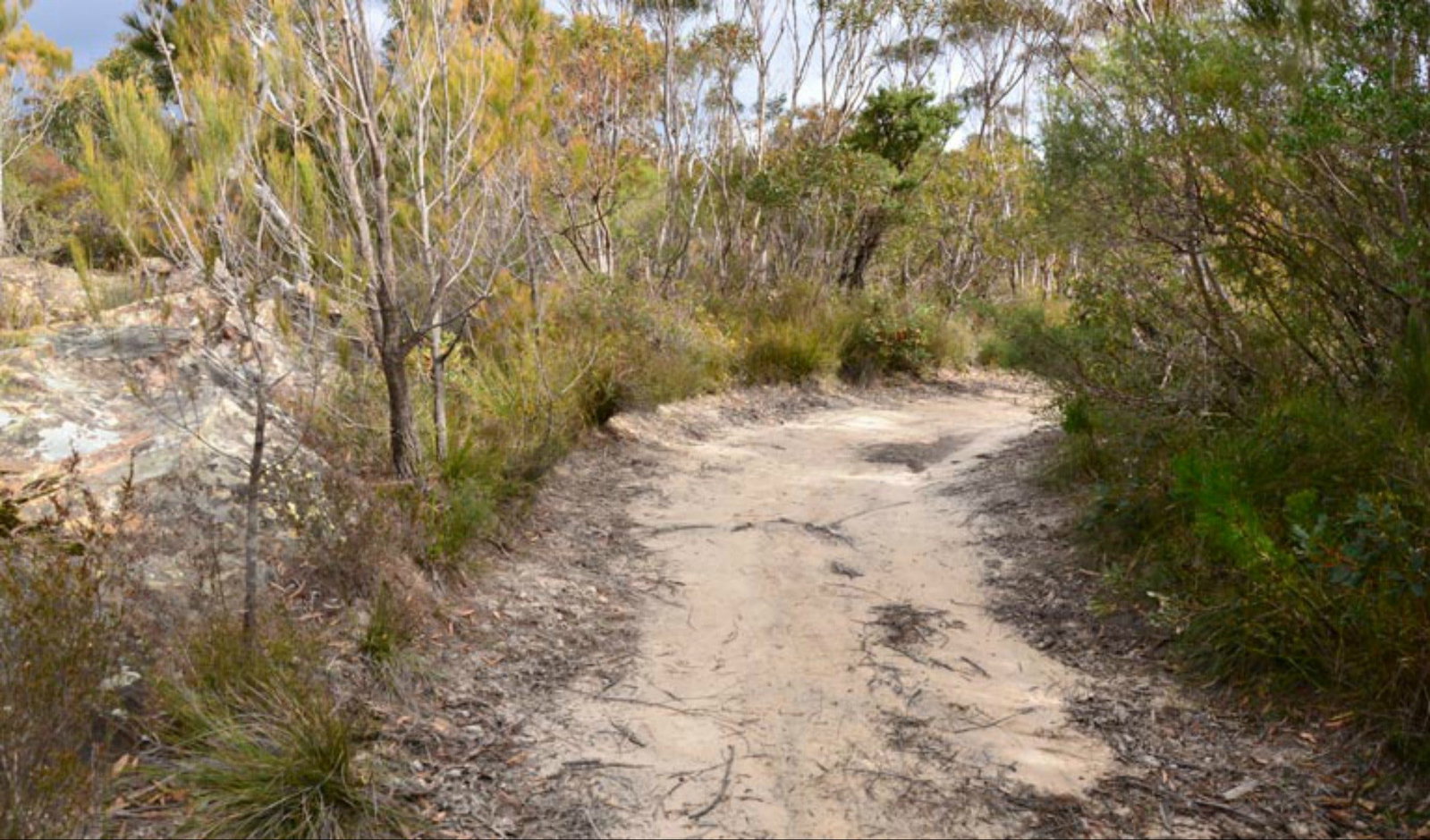 Browns Mountain NSW Broome Tourism