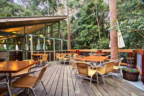 Sea Acres Rainforest Centre - Broome Tourism 2