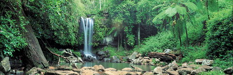 Tamborine National Park - Broome Tourism 0