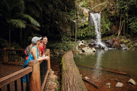 Tamborine National Park - Broome Tourism 1