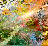 The Blue Mountains Botanic Garden Mount Tomah - Broome Tourism