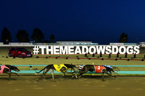 The Meadows - Broome Tourism 0