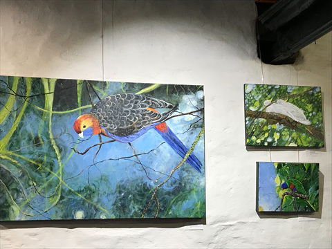 The Coach House Studio - Broome Tourism 2