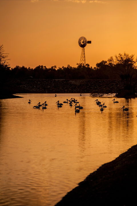 Thomson River, Longreach - Broome Tourism 2