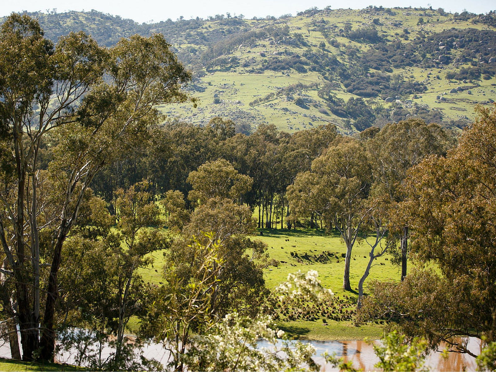 Trawool VIC Broome Tourism