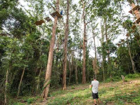 TreeTop Challenge - Sunshine Coast - Broome Tourism 1