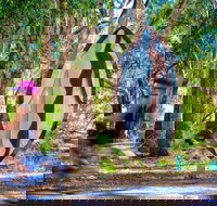 Wagirra Trail and Yindyamarra Sculpture Walk - Broome Tourism