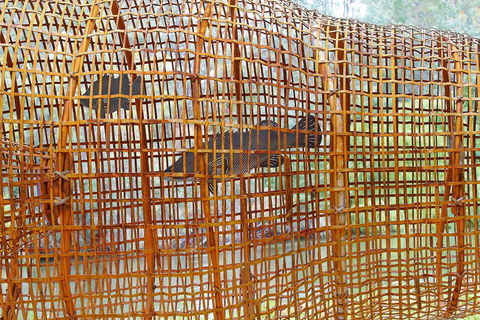 Wagirra Trail And Yindyamarra Sculpture Walk - Broome Tourism 2