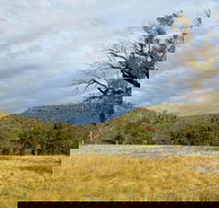 Weddin Mountains National Park - Broome Tourism