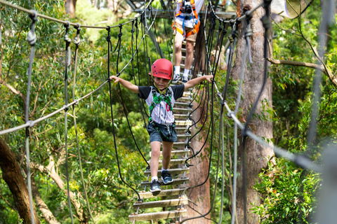 Zipline At Illawarra Fly - Broome Tourism 1