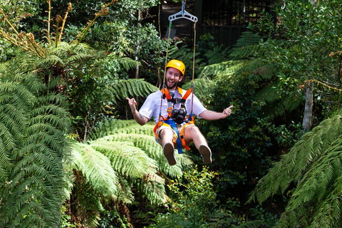 Zipline At Illawarra Fly - Broome Tourism 2