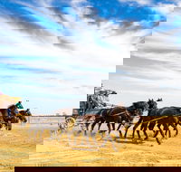 7 Day Outback Giants - Broome Tourism