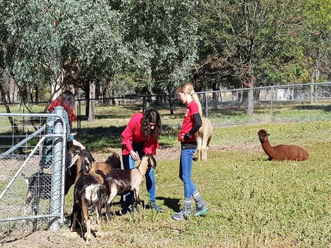 Animal Farm Visit - Broome Tourism 1
