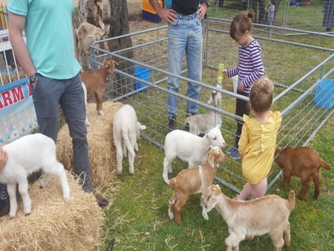 Animal Farm Visit - Broome Tourism 2