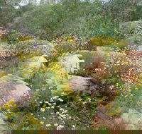 Ben Hall's Cave Walking Track - Broome Tourism