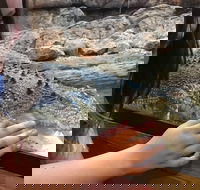 Canberra Reptile Zoo - Broome Tourism
