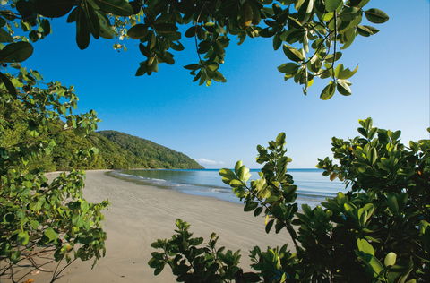 Cape Tribulation, Daintree National Park - Broome Tourism 1