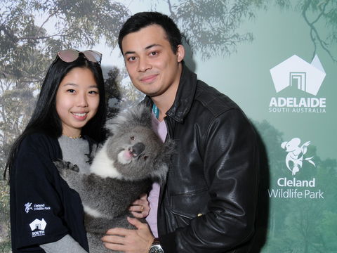 Cleland Wildlife Park - Koala Hold - Broome Tourism 0
