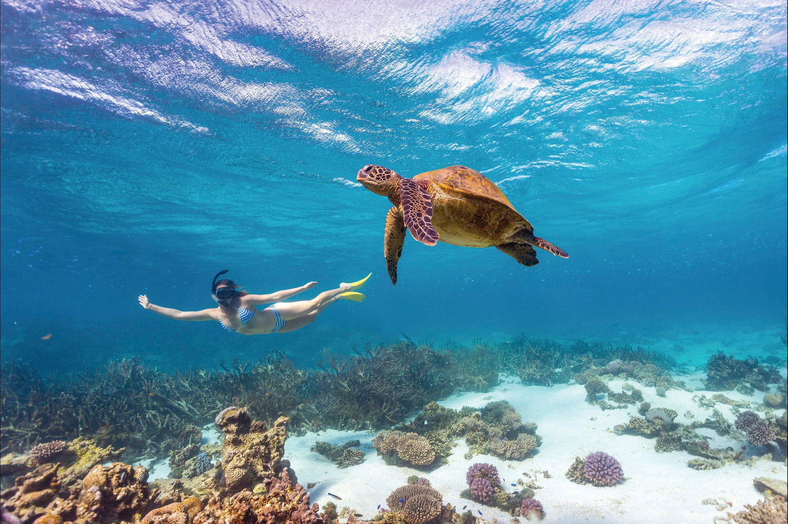  Broome Tourism